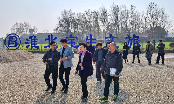 陈英一行赴十里长山文化旅游产业园调研